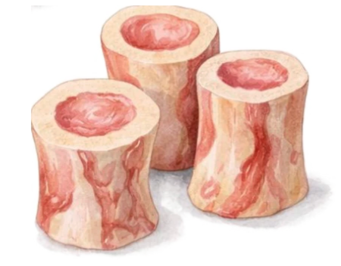 bone broth bone marrow